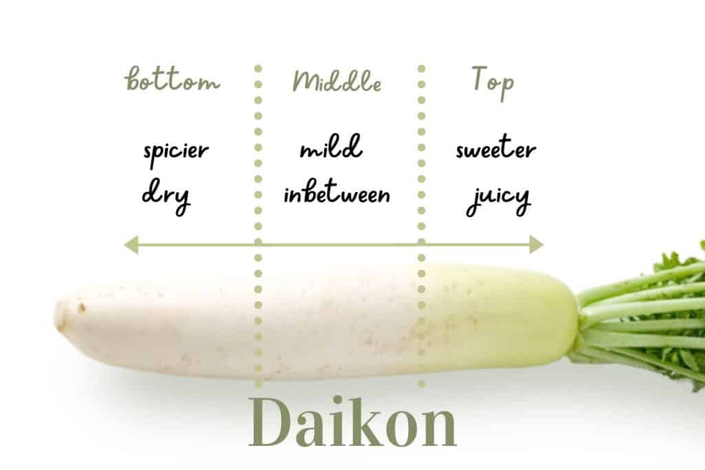 White radish divided by dotted line with text overlay 