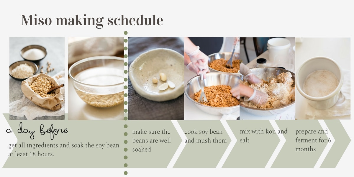 miso making process and schedule infographic 