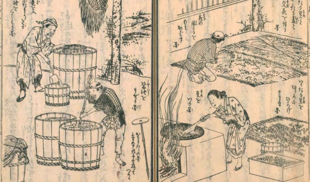 drawing of making soy sauce by 広益国産考 8巻