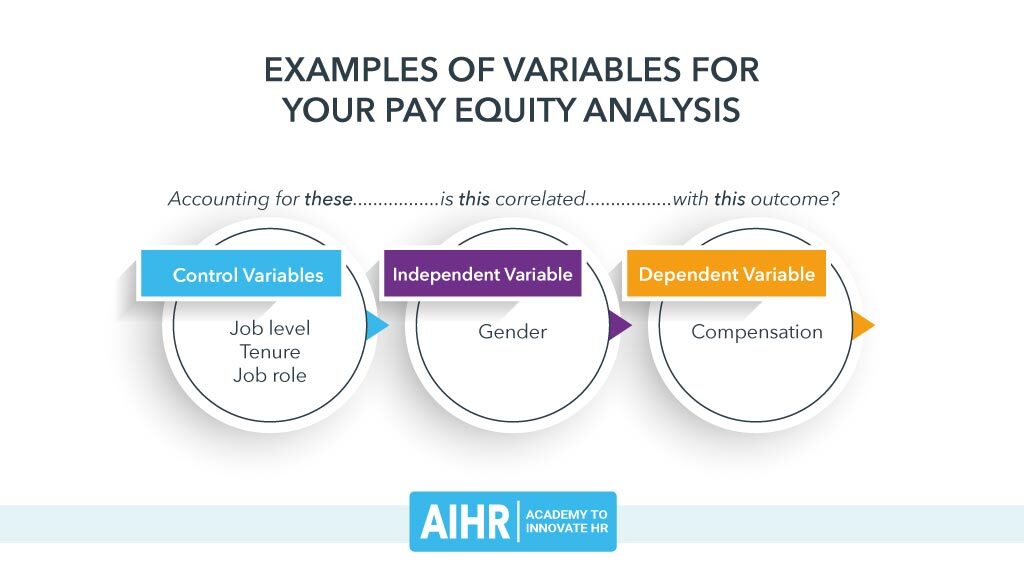 Examples of variables for pay equity analysis