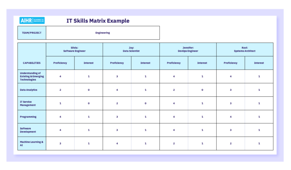 IT Skills Matrix Example