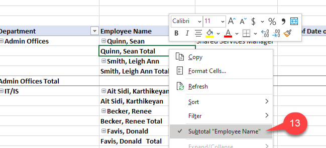 Pivot table filters