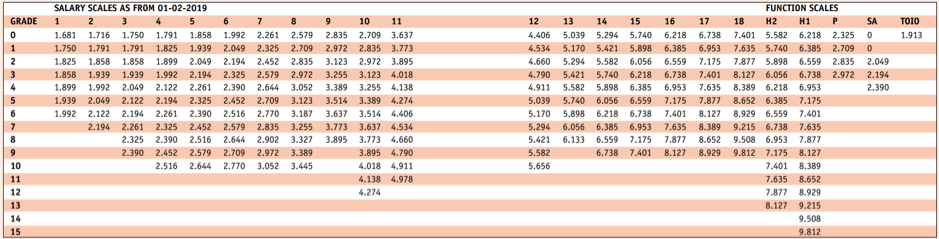 salary scales and function scales