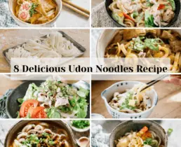 8 different udon noodles recipe collaged with text overlay for featured image