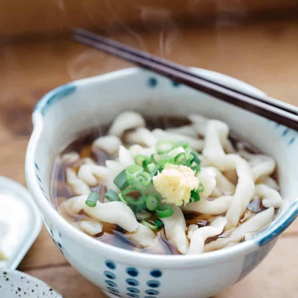 kake udon noodles served in a Japanese pottery bowl with a pair of chopstick
