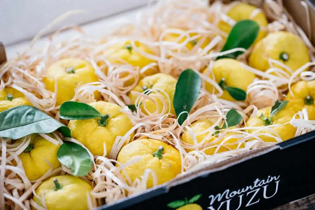 12 yuzu fruits in a commercial cardboard box